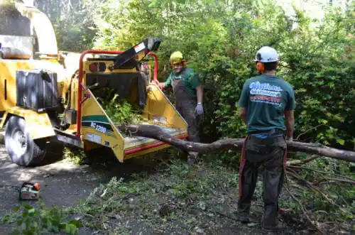 tree services Security-Widefield